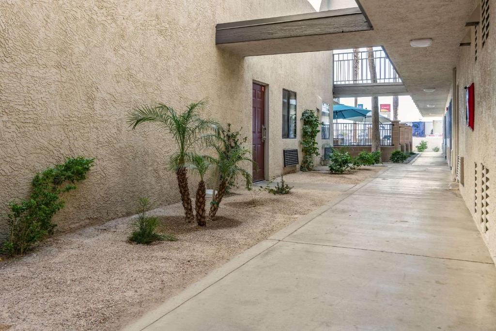 Fotografie z fotogalerie ubytování Rodeway Inn & Suites Thousand Palms - Rancho Mirage v destinaci Thousand Palms
