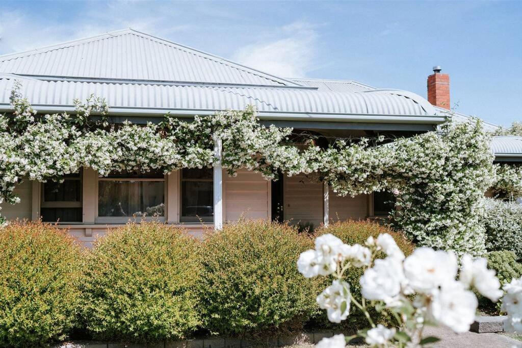 a house with white flowers in front of it at Dunrobin House in Shepparton