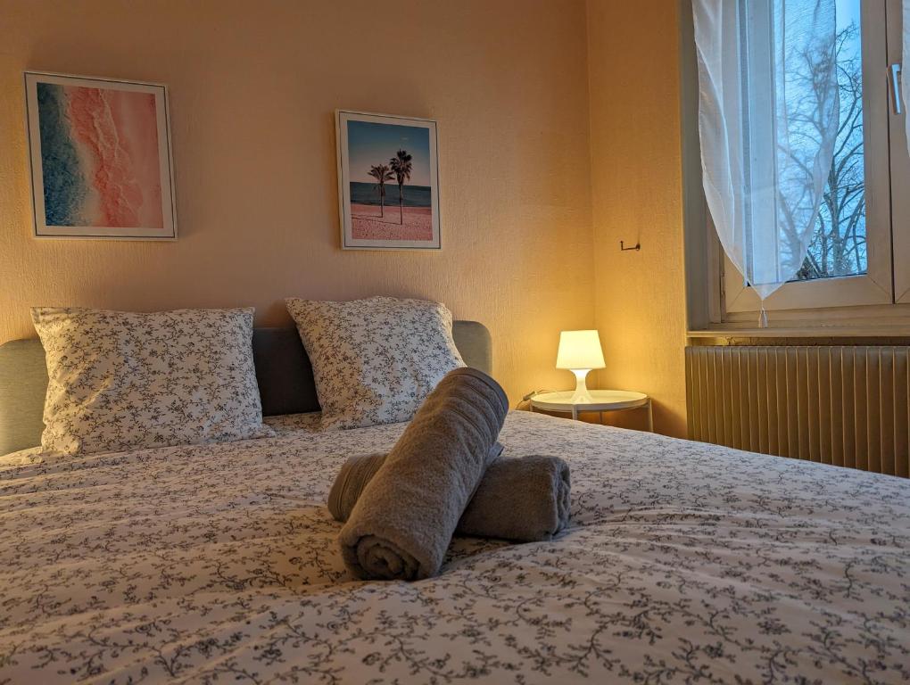 Le Bâlois - appartement 2 chambres, salon, cuisine équipée, parking et wifi gratuit tesisinde bir odada yatak veya yataklar