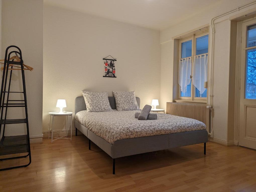 Le Bâlois - appartement 2 chambres, salon, cuisine équipée, parking et wifi gratuit – photo 6