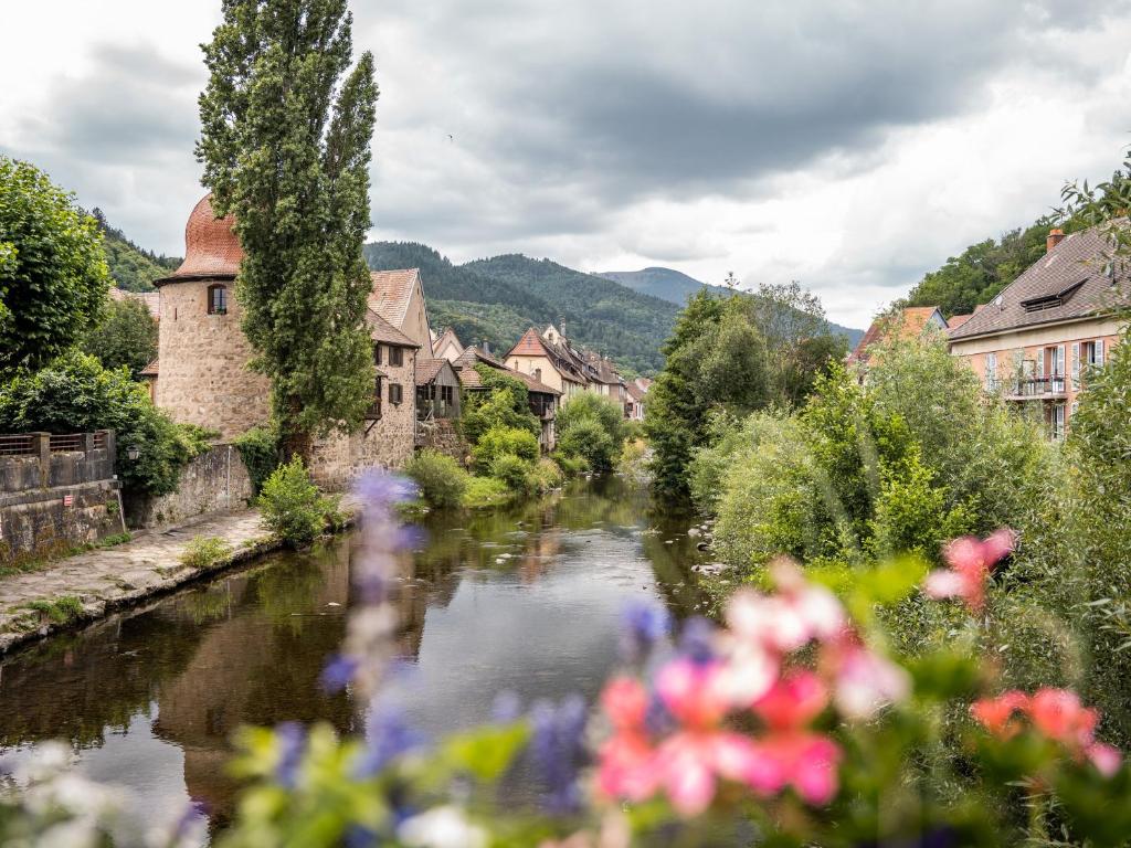 Maison rénovée au cœur de Thann : 3 chambres, cuisine équipée, proche randonnées et villes alsaciennes – photo 6