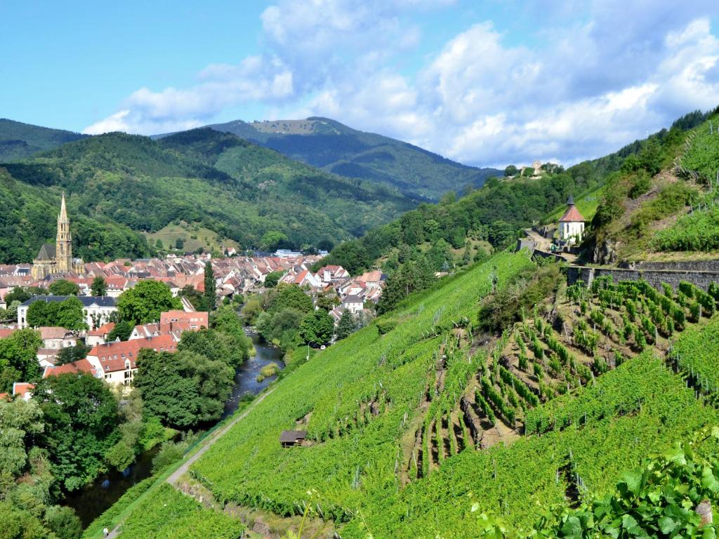 Maison rénovée au cœur de Thann : 3 chambres, cuisine équipée, proche randonnées et villes alsaciennes – photo 20