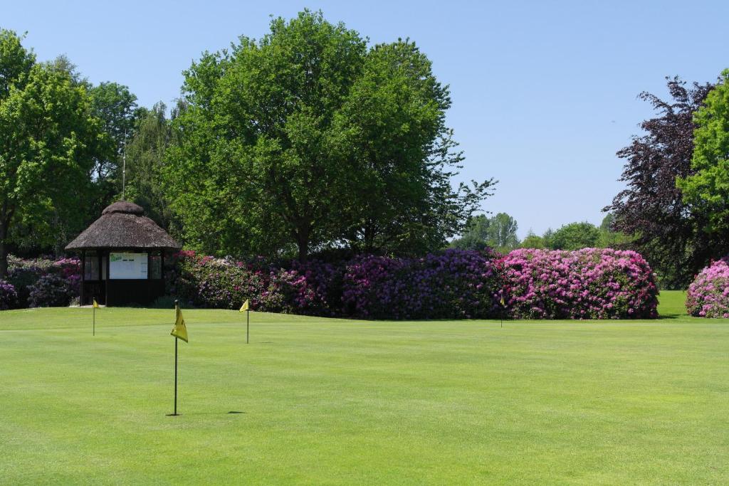 Golf v hotelu nebo okolí