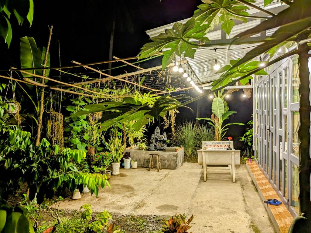 Coco Happy Farm - 16