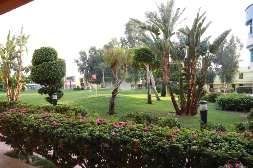 Sierra Sharm El Sheikh - 7