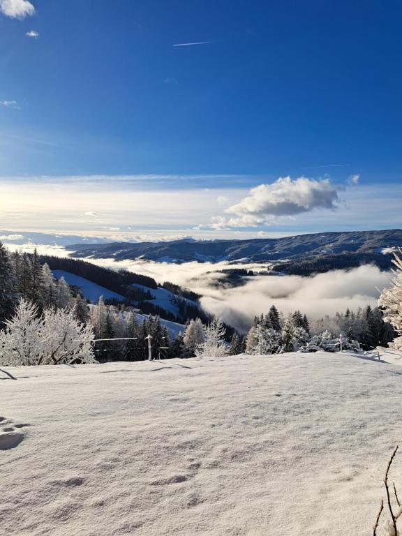 Příroda nedaleko apartmánu