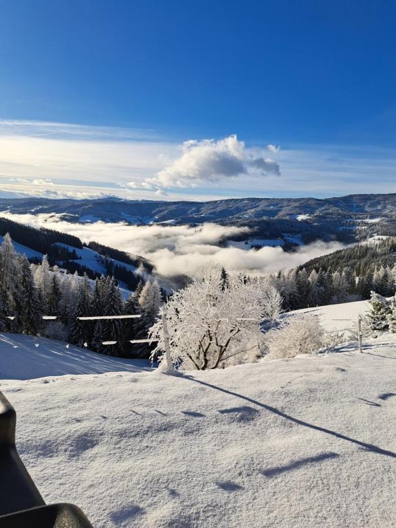 Příroda nedaleko apartmánu