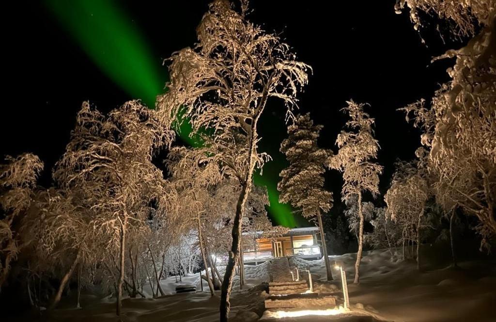 un láser verde en el cielo detrás de algunos árboles en Villa Váibmu, en Inari