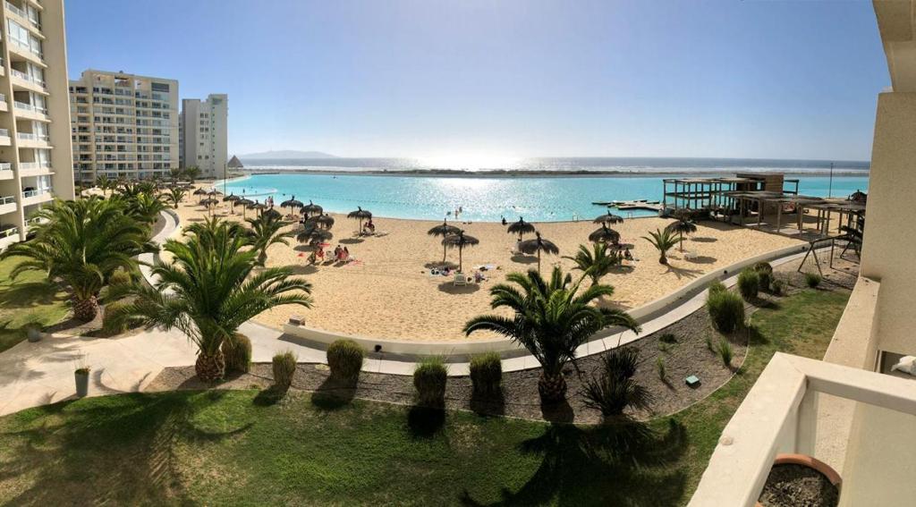 a view of a beach with palm trees and a pool at Departamento condominio Laguna del Mar in La Serena