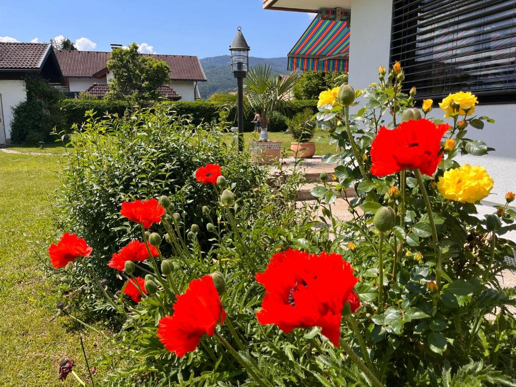 a bunch of red flowers in a garden at Haus Bergblick in Villach