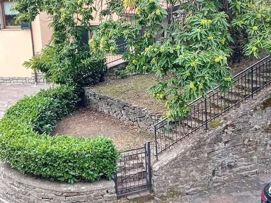 un conjunto de escaleras con plantas y una valla en Il Pianello, en Poppi