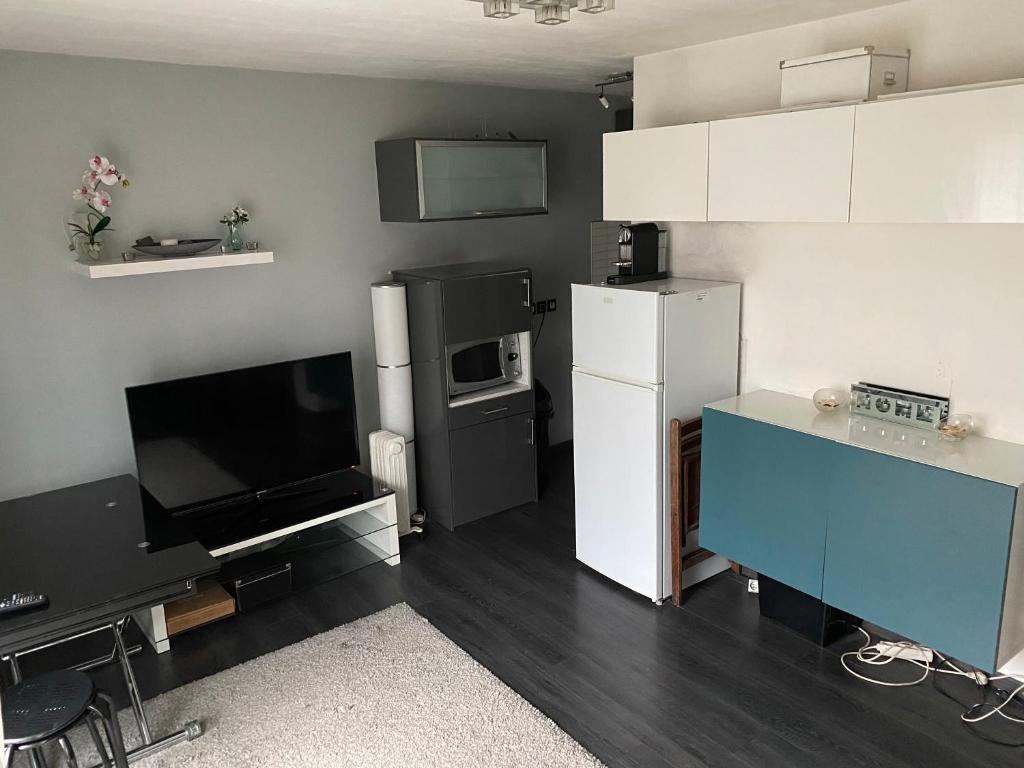 ein Wohnzimmer mit einem Kühlschrank und einem TV in der Unterkunft Cosy Appt aux portes de Paris in Vitry-sur-Seine