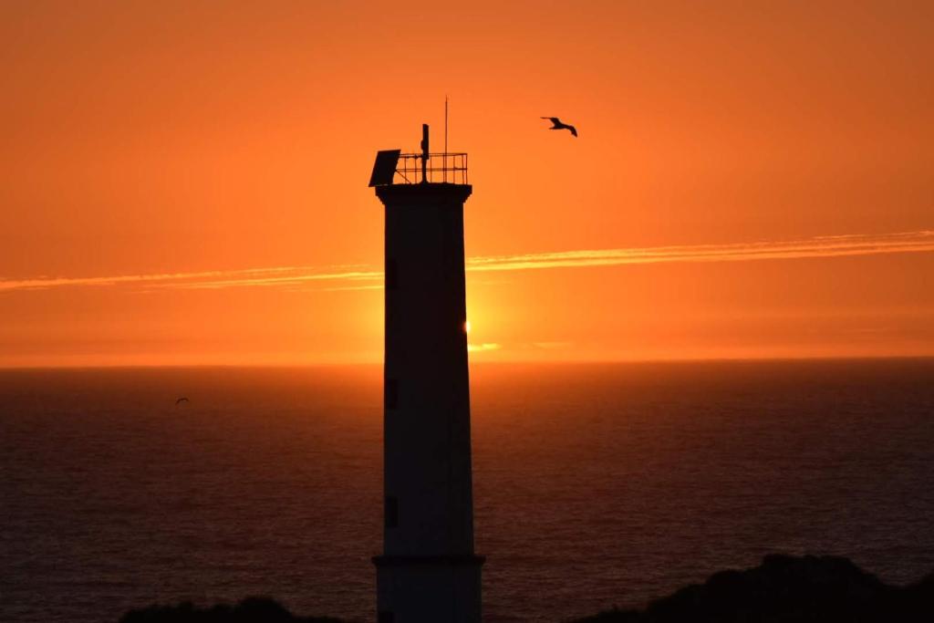 un phare avec un oiseau devant d'un coucher de soleil dans l'établissement CasacheloCangas, à Cangas