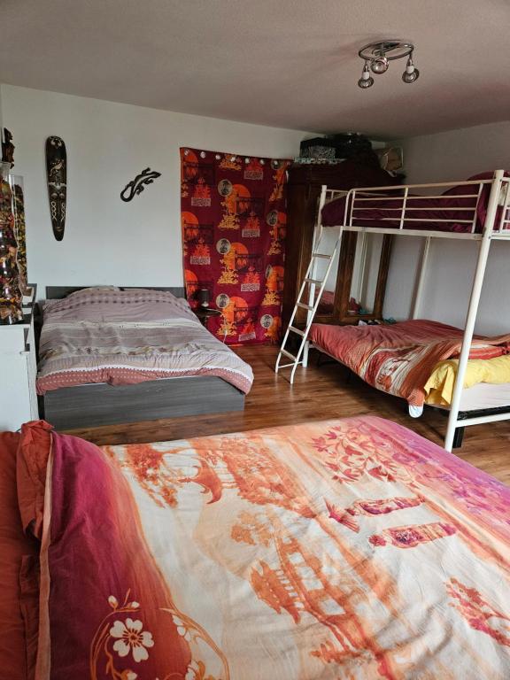 een slaapkamer met 2 stapelbedden en een tapijt bij LA MEUTE in Mars-sur-Allier