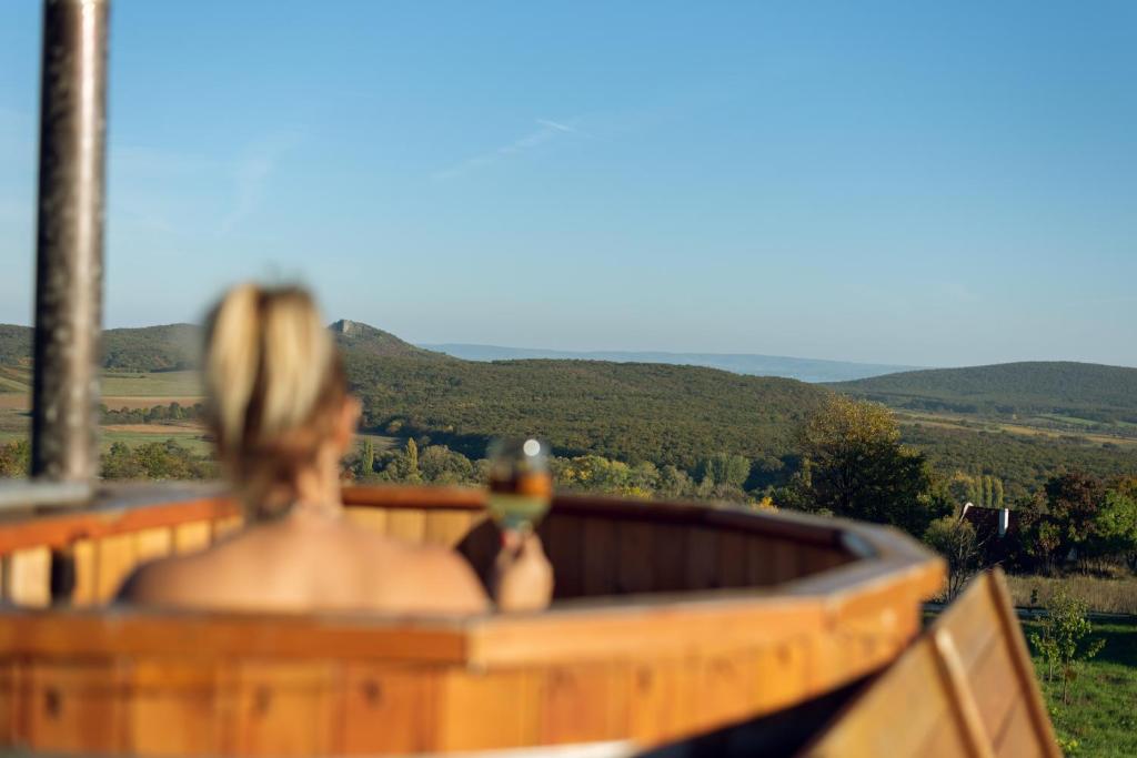 Káli Vineyard Estate 8274 Köveskál, HRSZ: 451 kép - 1