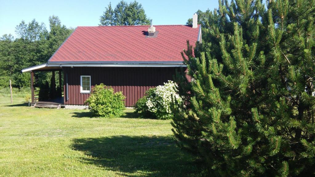 una casa con techo rojo y un pino en Antanelio Sapnas, en Pabradė