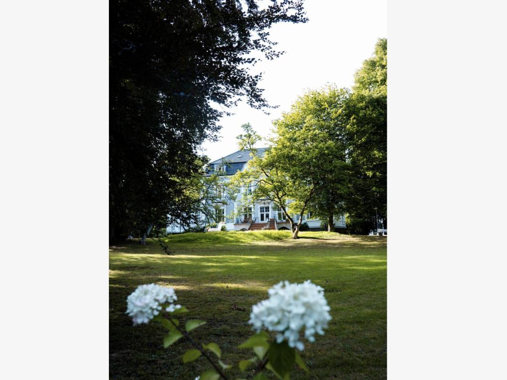 Κήπος έξω από το Villa Schöneck