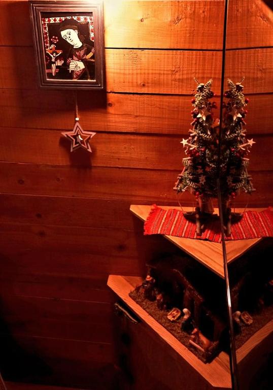 Fotografie z fotogalerie ubytování Cabana Staier v destinaci Anina