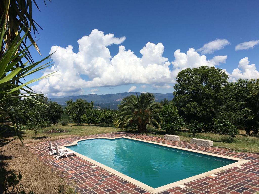 a swimming pool with two chairs and a palm tree at Quinta de Moçamedes - Turismo de Habitação in Vouzela