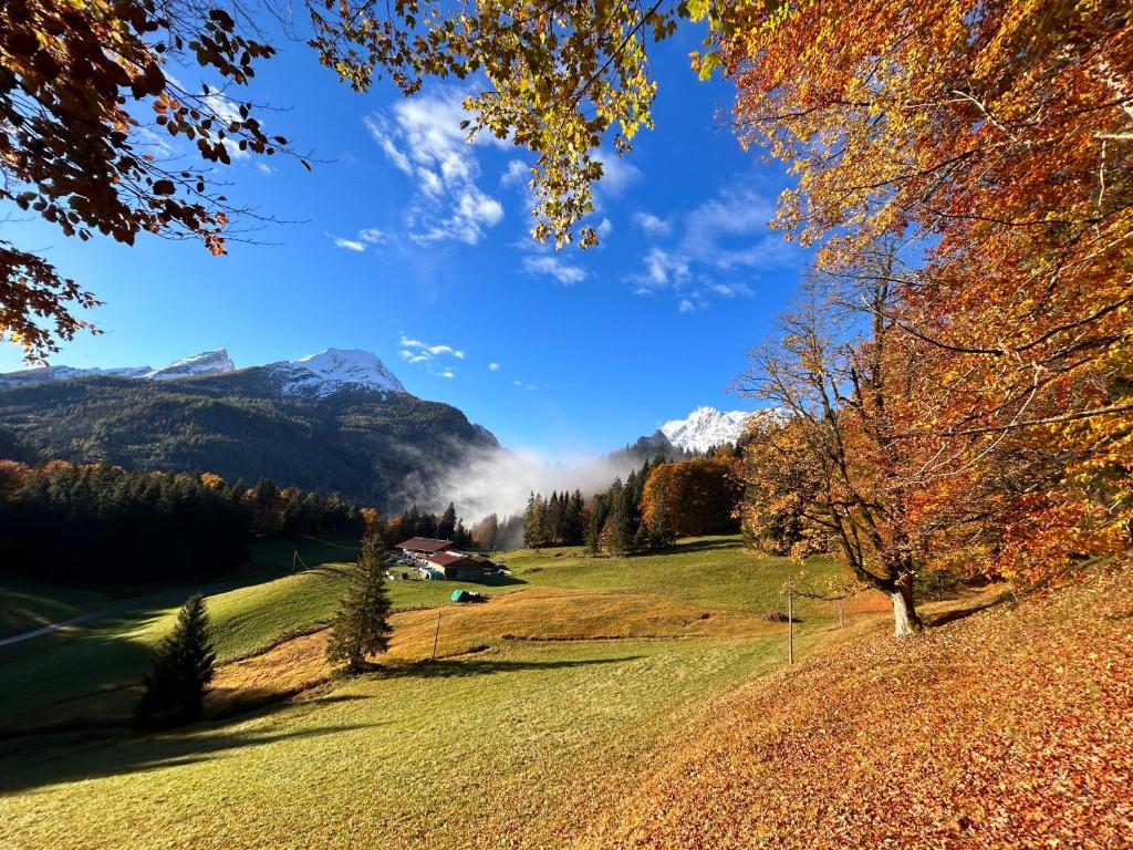 un champ planté d'arbres et de montagnes en arrière-plan dans l'établissement Auf'm Feggenlehen, à Ramsau bei Berchtesgaden