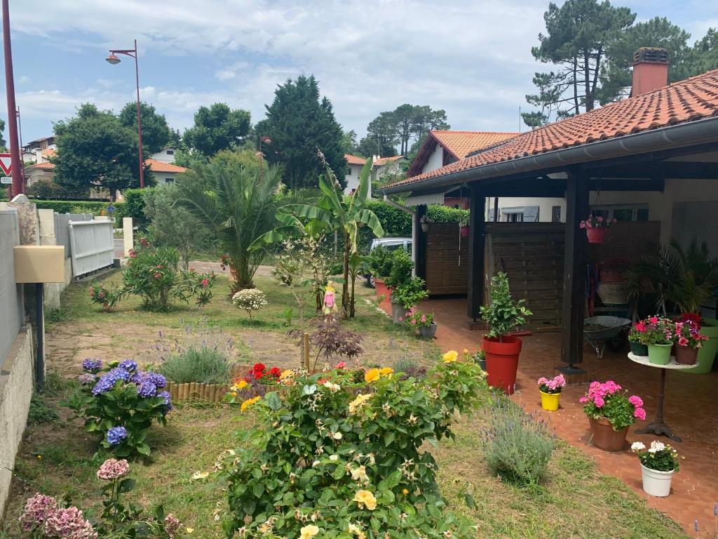um jardim com flores e plantas em frente a uma casa em Appartement 85m2 em Tarnos