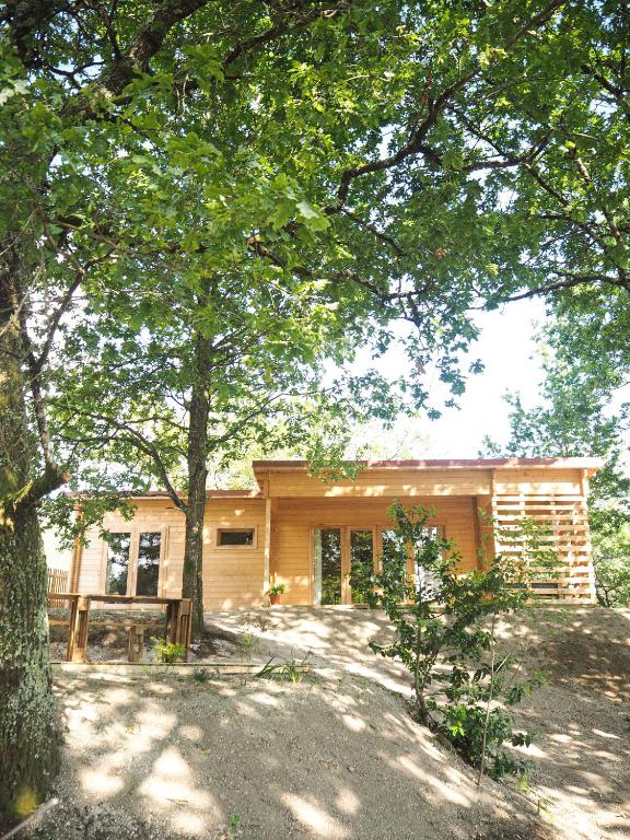 una casa con un árbol delante de ella en Sítio dos Carvalhos, en Covide