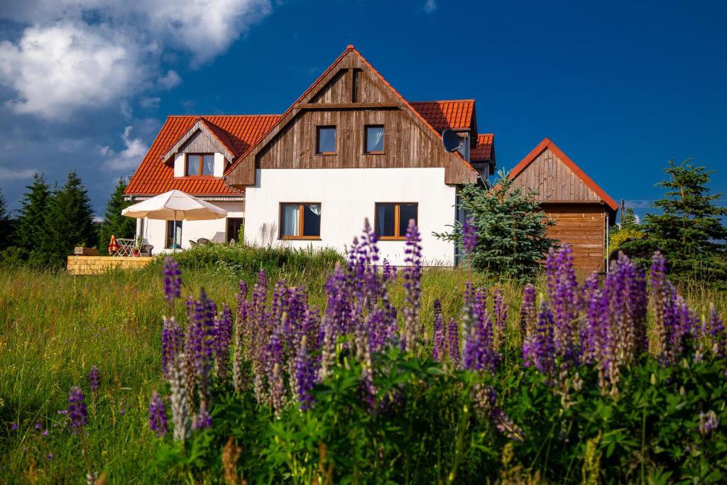 a house with a field of purple flowers at Przystanek Lasówka in Lasowka