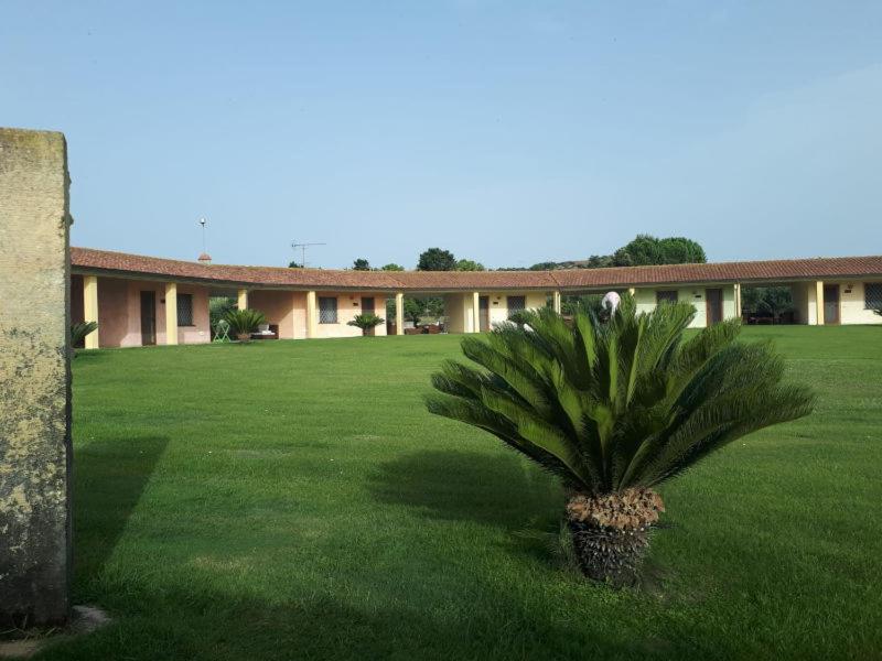 a pineapple sitting in the grass in front of a building at Agriturismo Sa Ruda in Càbras