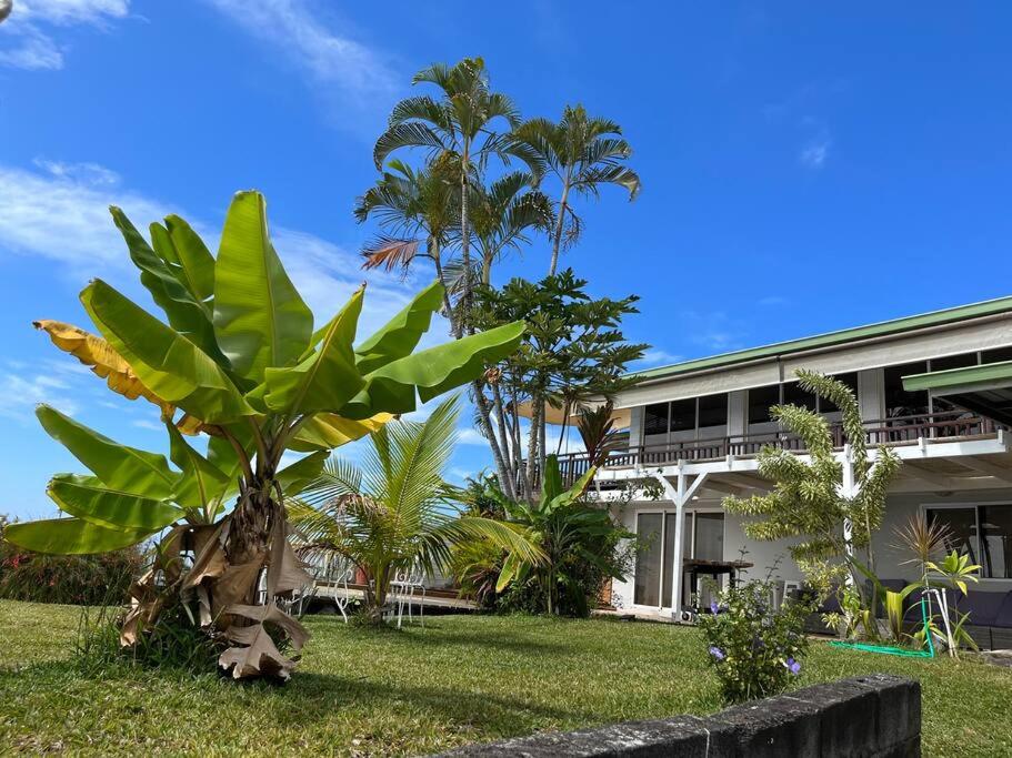 a building with palm trees in front of it at Charmante villa familiale, piscine vue imprenable in Pirae