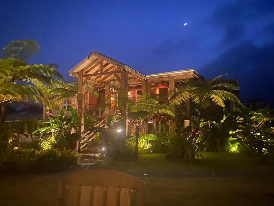 duży dom z palmami przed nim w obiekcie Casa de Paz w mieście Guayama