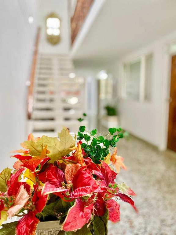 Fotografie z fotogalerie ubytování HOTEL CUMANDAY v destinaci Pereira