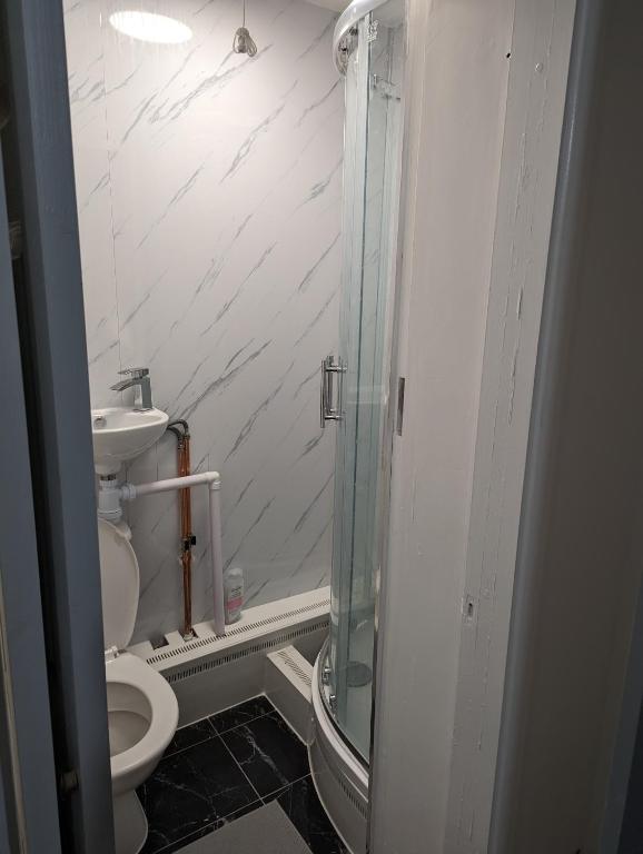 a bathroom with a toilet and a glass shower at Luxury flat in Nevendon