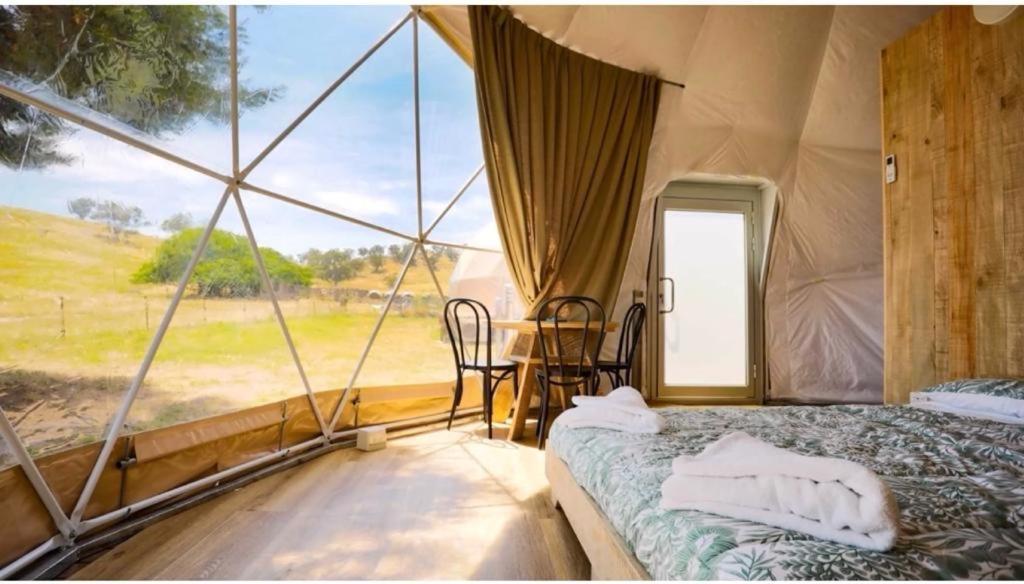 um quarto com uma cama numa tenda com uma janela em Caravans Park & GLAMPING TENTS in the Vineyard em Turda