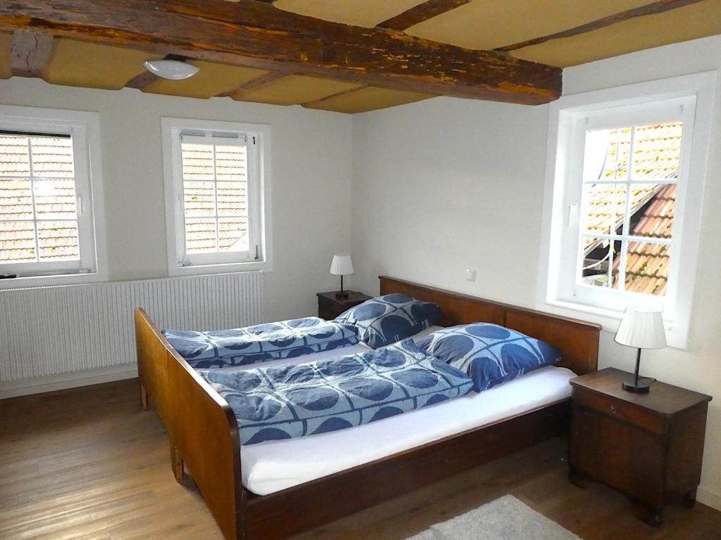 ein Schlafzimmer mit einem Bett und zwei Fenstern in der Unterkunft Alte Schreinerei in Lützelbach