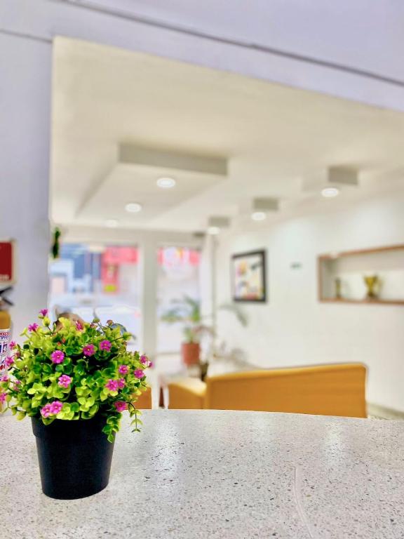 Fotografie z fotogalerie ubytování HOTEL CUMANDAY v destinaci Pereira