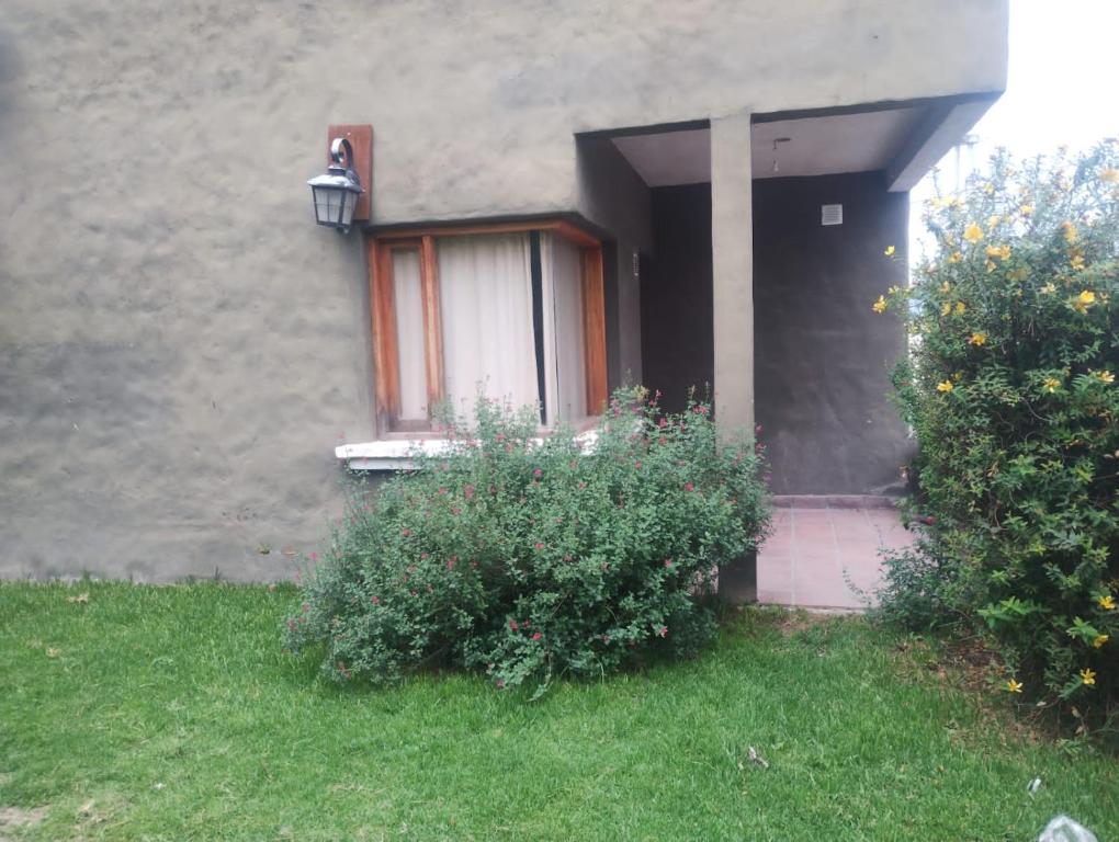 Zahrada ubytování Departamento en la Villa