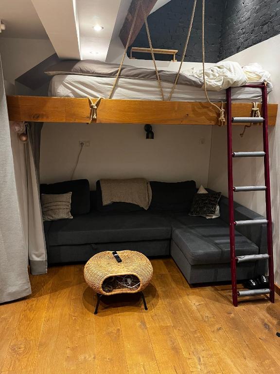 a living room with a bunk bed and a couch at Studio cosy in Brussels