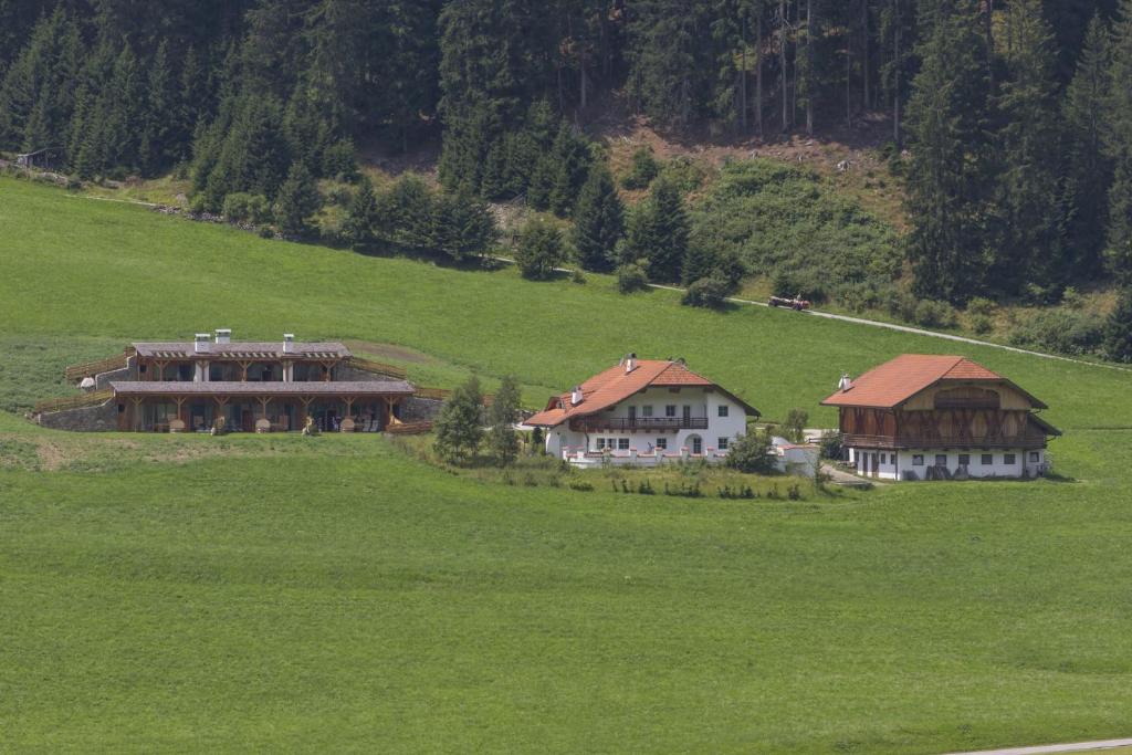 Príroda v okolí horskej chaty