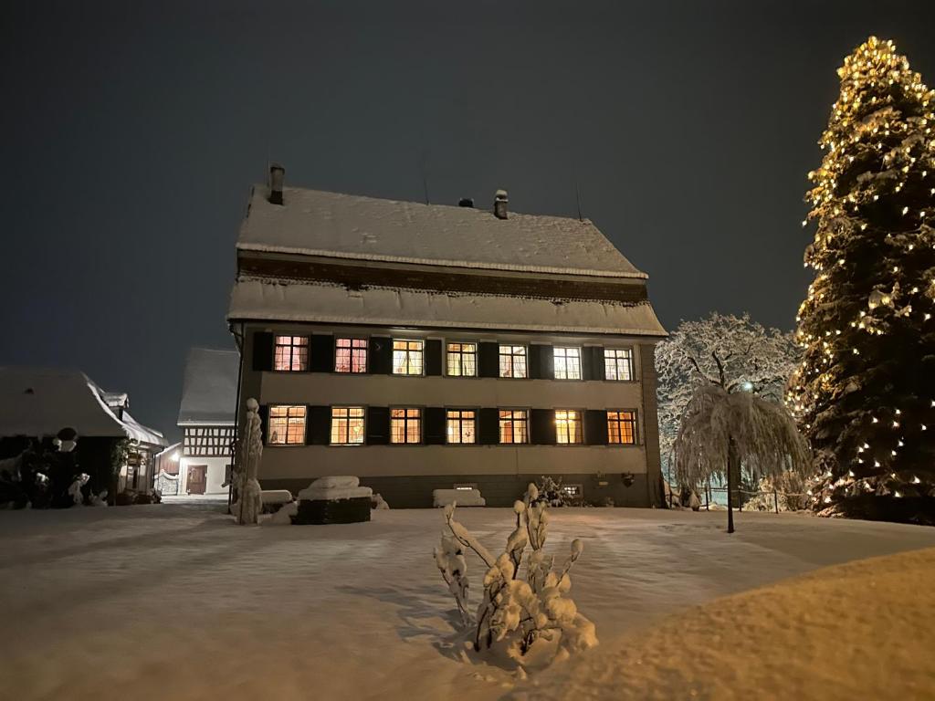 duży budynek z oświetleniem w śniegu w obiekcie Schloessli Herrenhof 