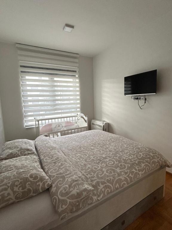 een slaapkamer met een bed en een flatscreen-tv bij Sunčana strana in Trebinje