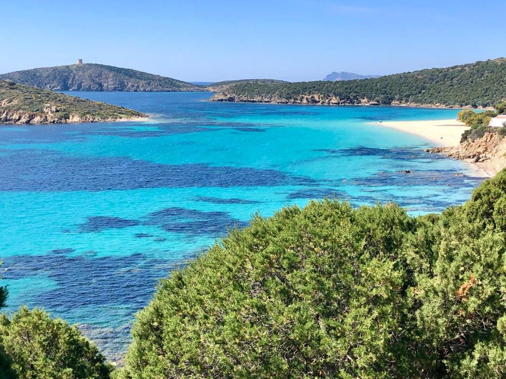 ドームス・デ・マリーアにあるSouth Sardinia Holidaysの青い水と木々が茂るビーチの景色