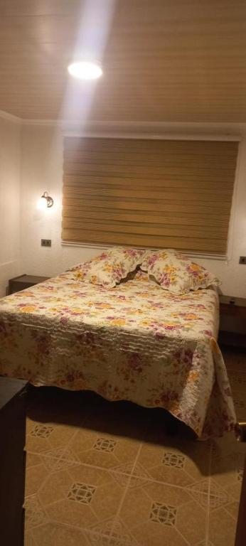 Un dormitorio con una cama con una manta de flores y una ventana en Hotel Costa norte, en Iquique