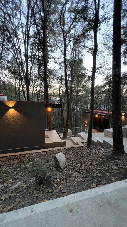 Zahrada ubytování Roots Luxury Cabins