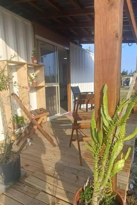 un patio con mesa, sillas y cactus en Pousada Dunas da Imara Tiny House Conteiner. en Xangri-lá