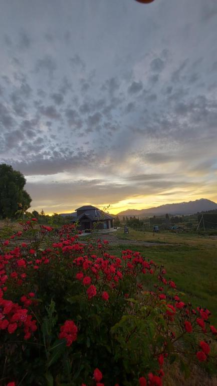 un campo de flores rojas con la puesta de sol en el fondo en Lares de Yaima en Cholila