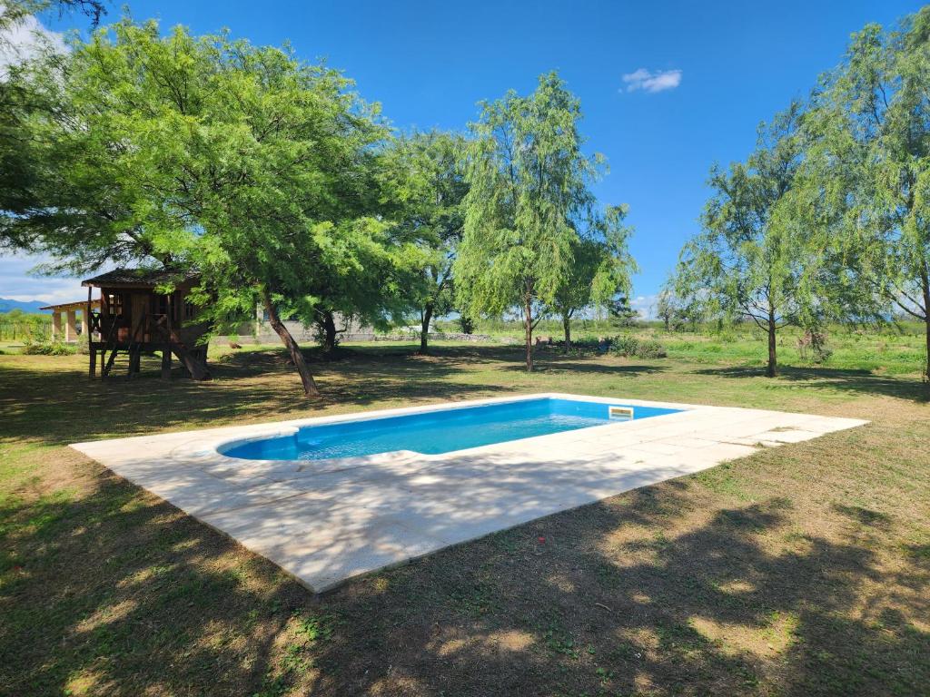 una piscina en un patio con un árbol en Casa Gande en San Fernando del Valle de Catamarca