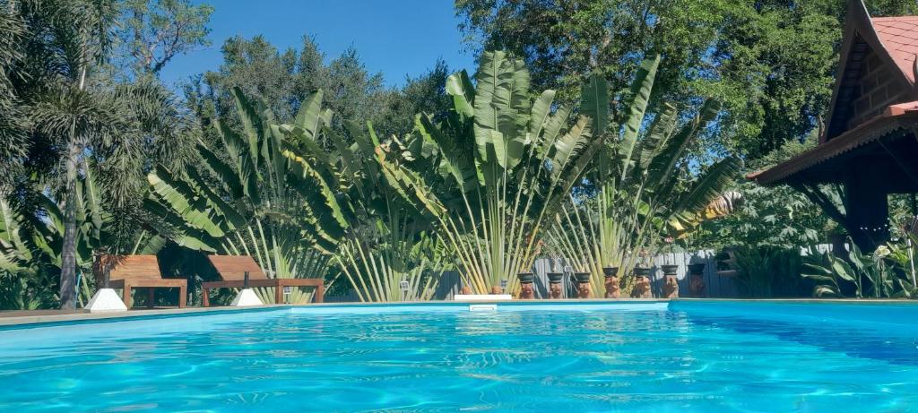a large swimming pool with palm trees in the background at Pasak River House Home stay 
