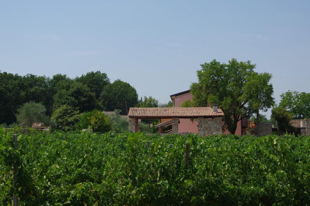Zahrada ubytování Agriturismo La Casa Del Mandorlo