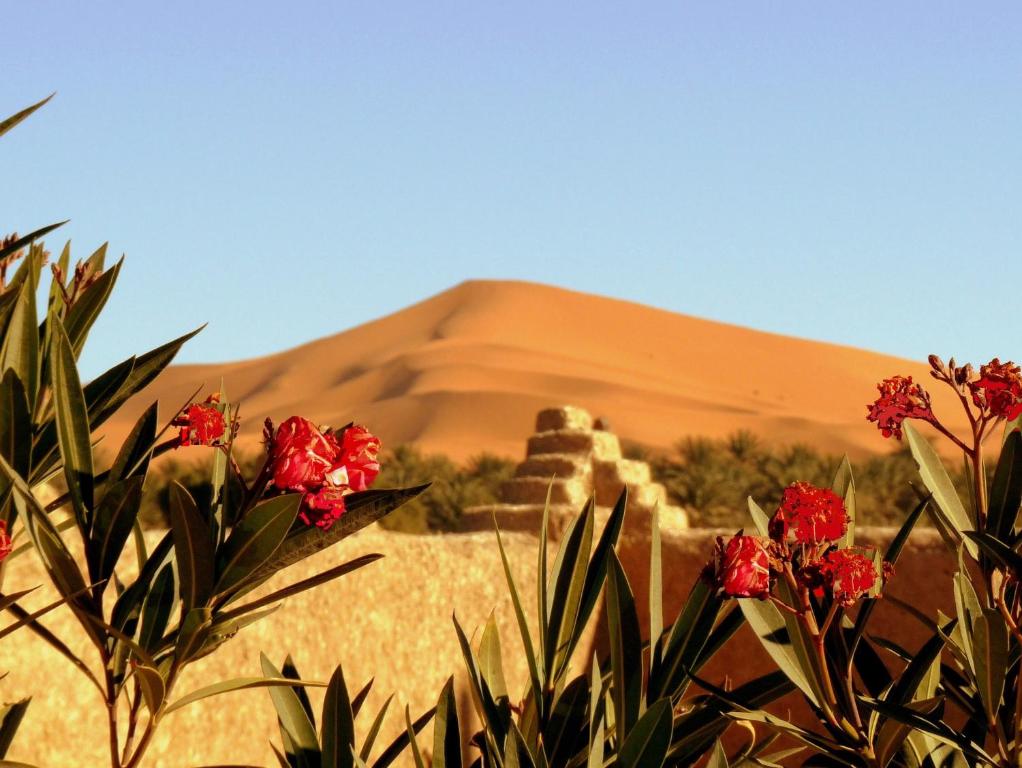 Gallery image of La Vallée des Dunes - Auberge, bivouacs et excursions in Merzouga