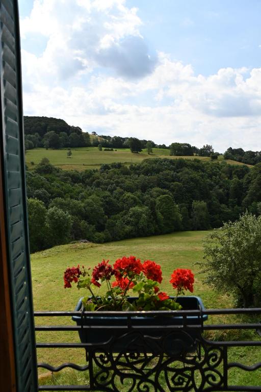 Příroda nedaleko bed and breakfast